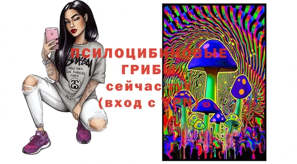 spice Лиски