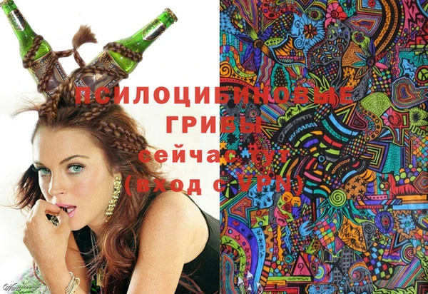 spice Лиски