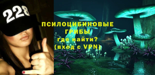 spice Лиски