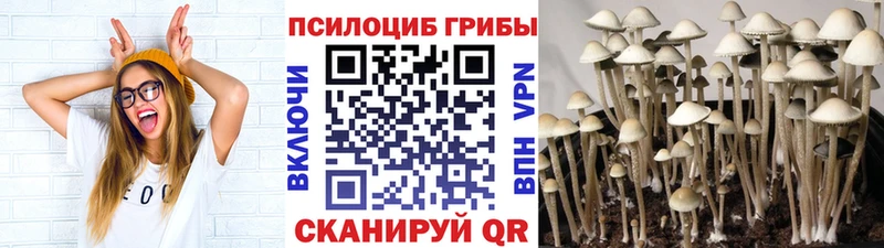 Псилоцибиновые грибы MAGIC MUSHROOMS  купить наркотик  Солигалич 